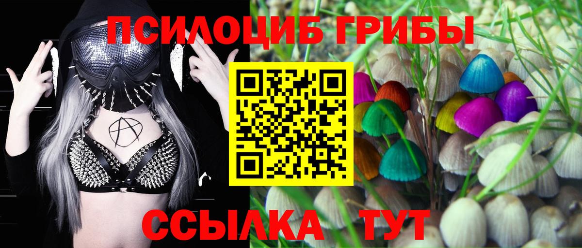 Серпухов  Галлюциногенные грибы MAGIC MUSHROOMS  Вход с VPN 